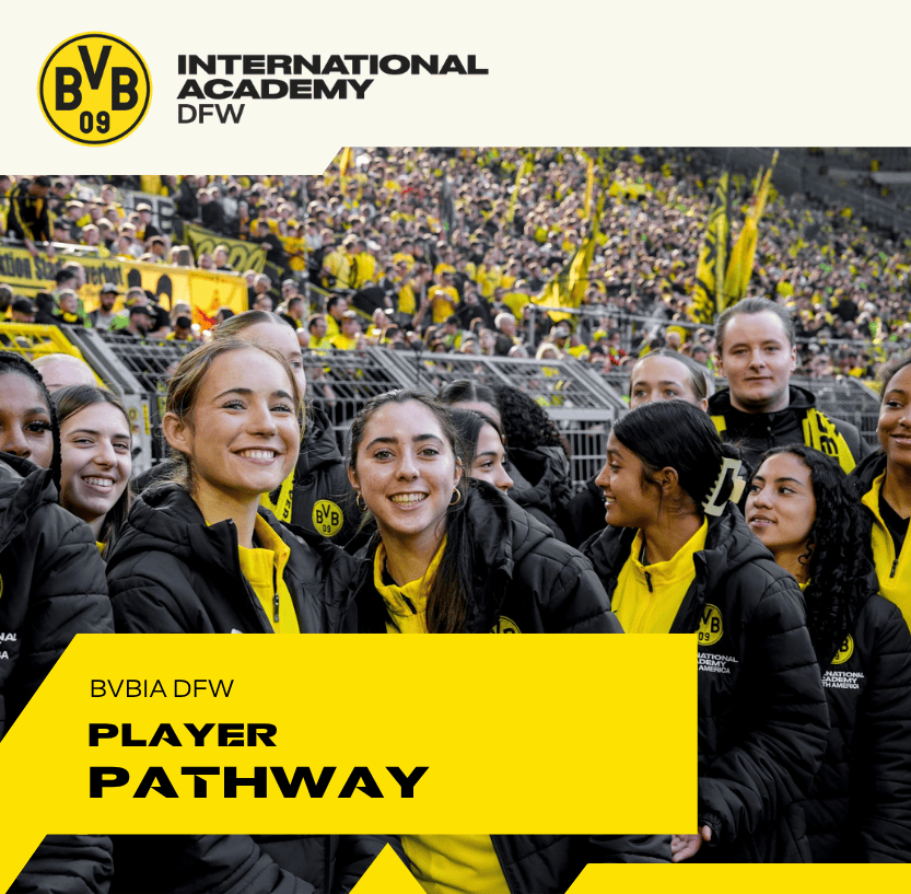 The BVBIA PLAYER PATHWAY